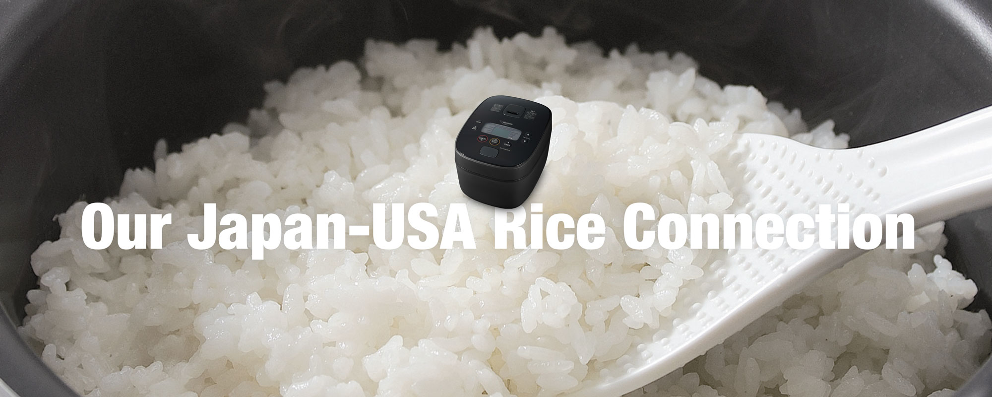 Our Japan-USA Rice Connection